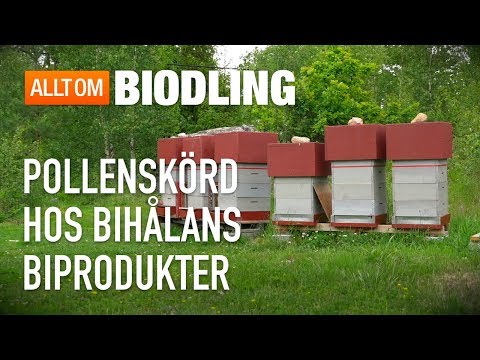 , title : 'Pollenskörd hos Bihålans Biprodukter - Bipollen - Biodling'