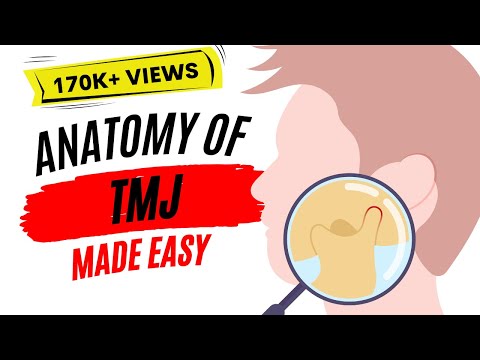 Anatomy of TMJ ( Temporomandibular joint )