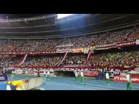 "Una libertadores es lo que imagino [LBK] JUNIOR vs once caldas 27/07/2017" Barra: La Banda de Los Kuervos &bull; Club: Junior de Barranquilla