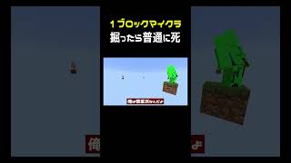 掘ったら普通に落ちる1ブロックマイクラ #shorts