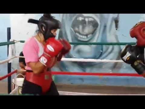 Esteche-Lopez version2