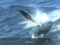 Gato Barbieri ~ Dancing With Dolphins