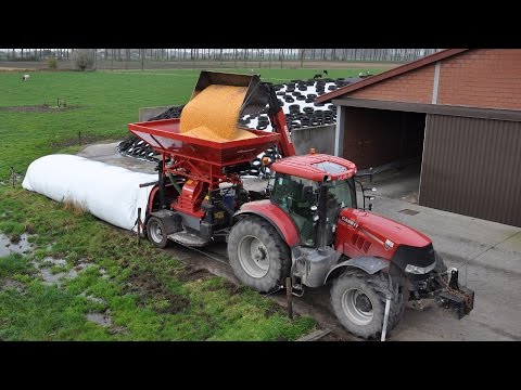 Case IH Puma 230 cvx & Geringhoff SiloForceMill ® - Loonw. Kristof Willems - mais malen
