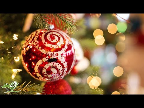 Relaxing Christmas Music: O Christmas Tree | Instrumental Harp Music ★23
