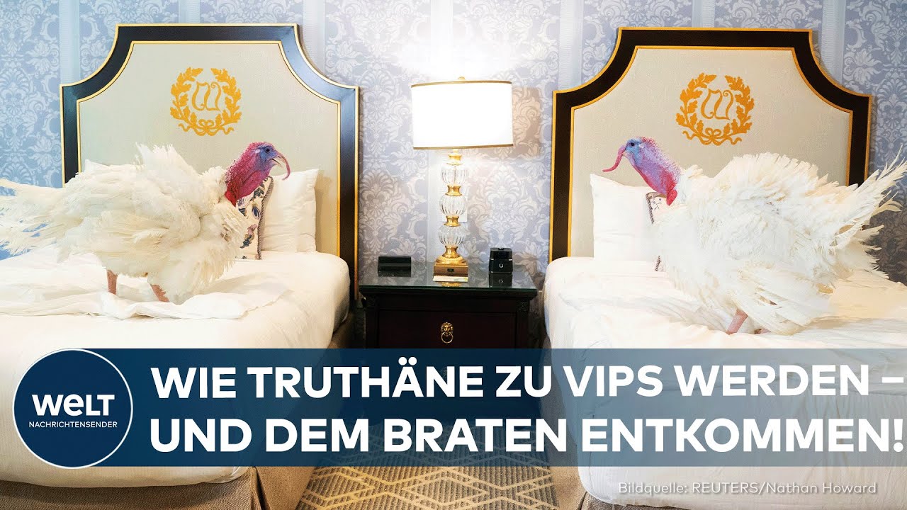 WASHINGTON D.C.: Thanksgiving-Tradition im Weißen Haus! – Zwei Truthähne feierlich verschont