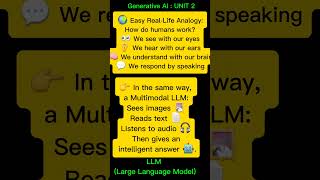 LLM (Large Language Model)