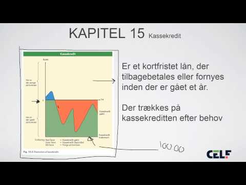KAPITEL 15   kassekredit