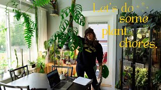 🌿 3 days of plant chores 🌿 restarting philo silver sword, maranta chop, fungus gnat control, + more!