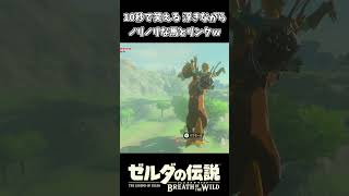 10秒で笑える ノリノリすぎる馬とリンクｗｗ【ゼルダの伝説 ブレス オブ ザ ワイルド】