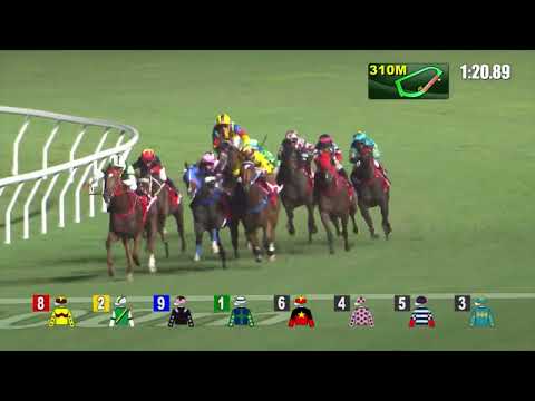 21/9/2022 (34) The Anomaly -  Matthew Chadwick