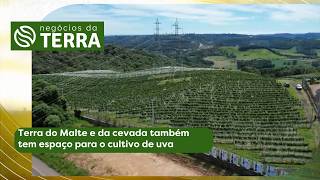 Miniatura do vídeo