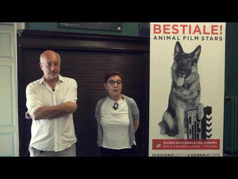 Bestiale! Animal Film Stars - Cinema e dignità degli animali