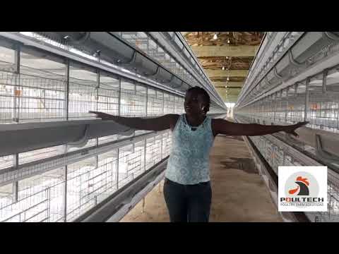 , title : 'Poultry Farm In Nigeria 20000 H Type Battery Layers  Cages With Fully Atuomatic Control System ( 3 )'