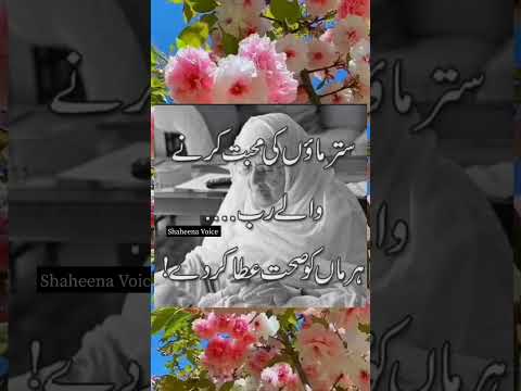 Islamic Quotes#shorts#shaheena video