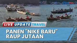 Suasana Nelayan di Gorontalo Tangkap hingga Jual Ikan Nike, Raup Keuntungan Jutaan Rupiah