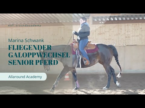 Flying Change Part 4: Senior Horse