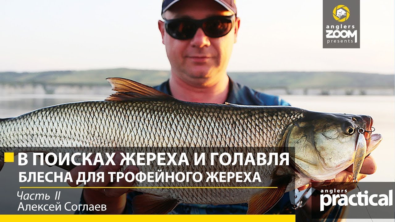 Вiдео Блешня Pontoon 21 Sampliora 72mm 33g