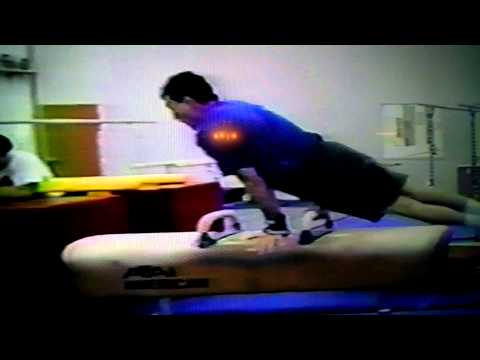 Josh Levin Pommel Horse