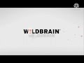 The Magic Store Wildbrain Loop