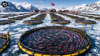 Inside the Billion-Dollar Aquaculture Industry – How Seafood Is Farmed