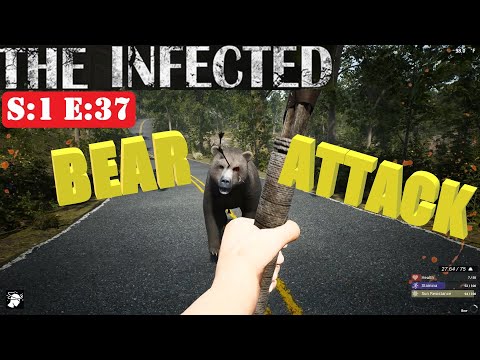 The Infected (Gameplay) S:1 E:37 (Bear Attack)
