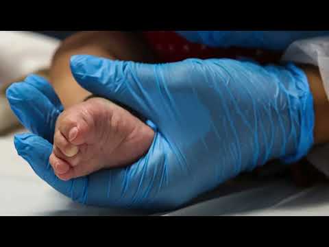 3CLIMAS MANCHETE ED 26112025 17h