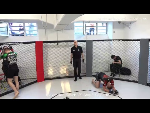 WING REVOLUTION FIGHT NIGHT Leipzig 2018