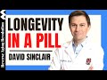 DAVID SINCLAIR Longevity In A Pill Dr David Sinclair Interview Clips