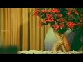 Romantic Old Tamil Song