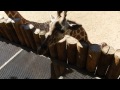 Youtube Com Fjfichman