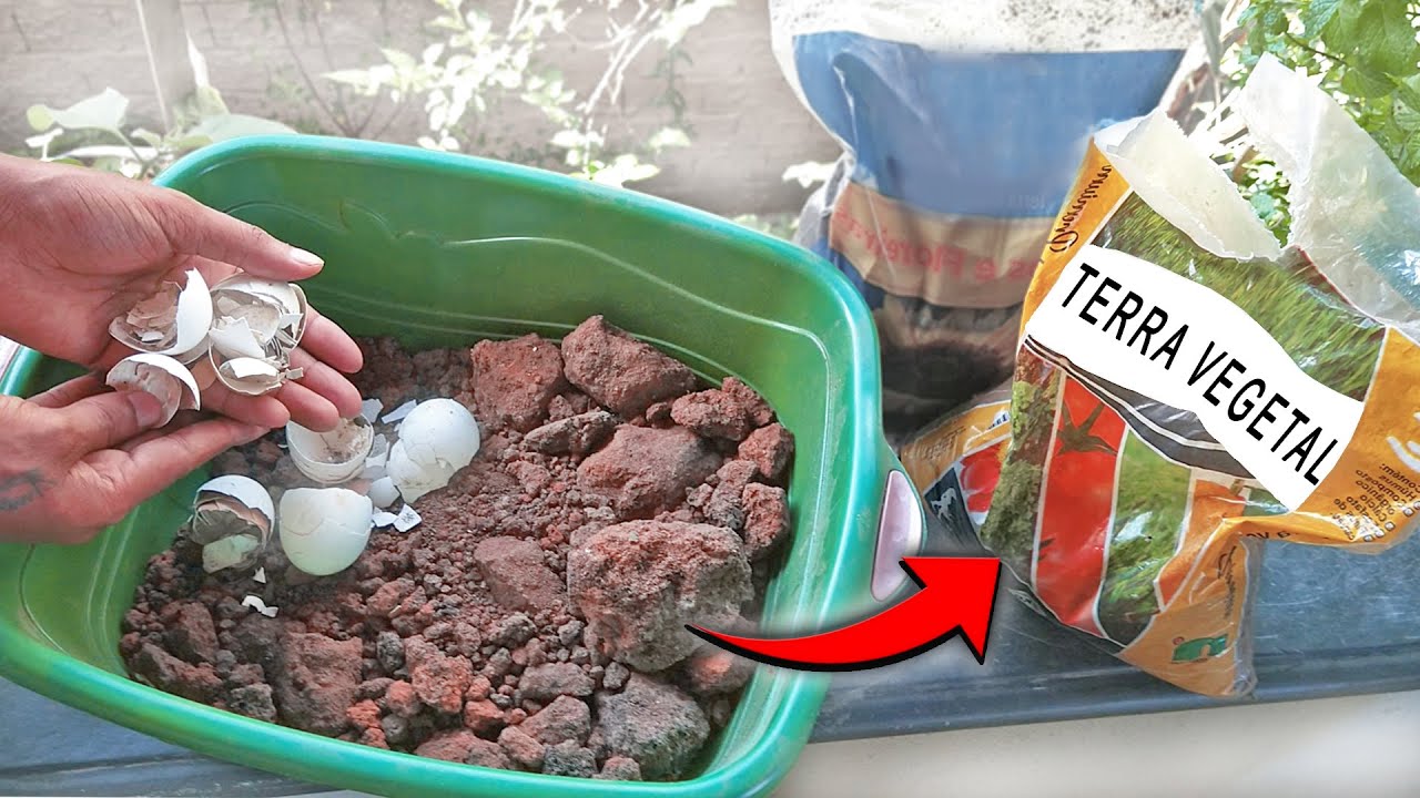 Como fazer terra vegetal em casa! SUPER FACIL