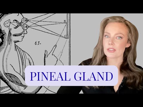 Connecting with God, New Age Inversions, Exorcism & the Pineal Gland| Gigi Young