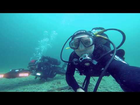 Tauchen Umag Juni 2017