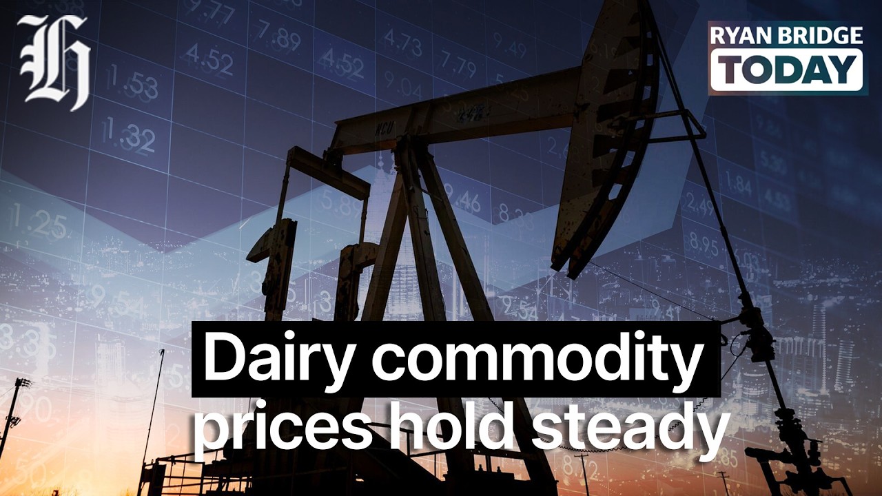 Dairy commodity prices hold steady, skim up; MBIE looks at easing diesel sulphur specs