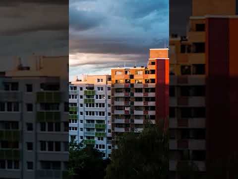 Guantana-MOHR - Immer noch - Short2