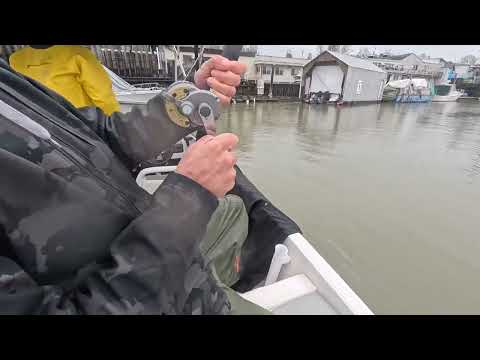 9FT RIVER MONSTER CAUGHT BY THE CASCADIAN TRAVELLERZ