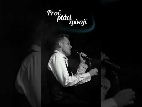 Proč ptáci zpívají, COVER - Michael Malý