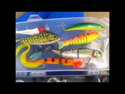 bibi craveur encore une balle