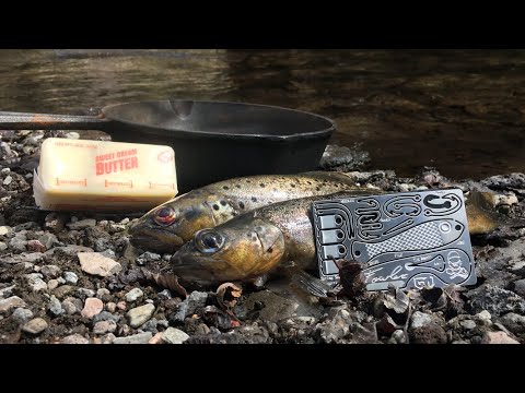 Catching and Cooking Trout using SURVIVAL Card!