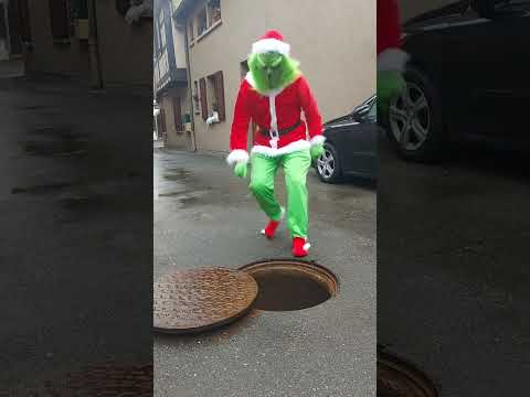 The Grinch 😂