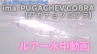 【プガチョフコブラ】水中映像　ima PUGACHEV'COBRA  　ルアー水中動画