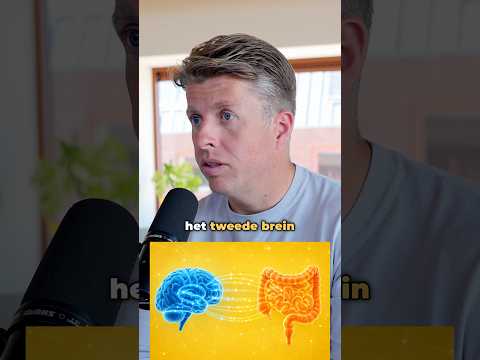 Je darmen luisteren vaak naar stress, nog v&oacute;&oacute;r ze reageren op voeding.