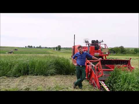 Versuchsstation Nossen. Informationen zum Versuchsstandort und Vegetationsverlauf 2020/21