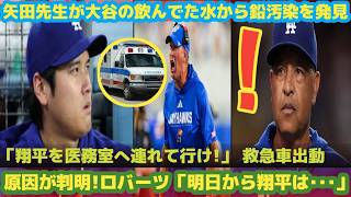 🚨 矢田先生の衝撃の発見！ 😱 大谷の飲料水から鉛を検出！ 💧⚾ 🚑 緊急事態 — ロバーツ監督が驚きの決断を下す！ 2026年9月25日