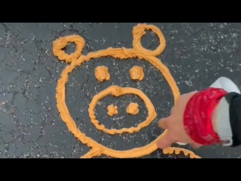 Tiktok Pig #3 (one circle one circle one big circle)