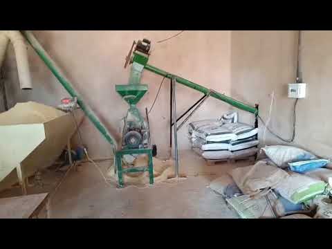 🌾 Ensacamento de Grãos na Fazenda Librina | São Domingos do Araguaia – PA | Alcance Rural