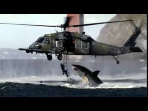 Megalodon Shark Attack Caught On Camera Off Coast of Cambodia real or fake