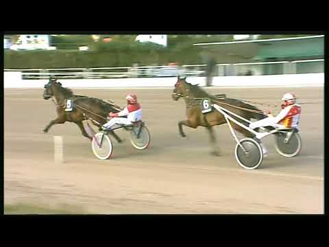 Trotto 28/02/2020 - 3ª corsa