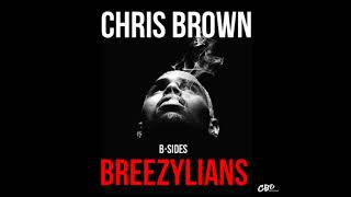 Chris Brown - Not My Fault