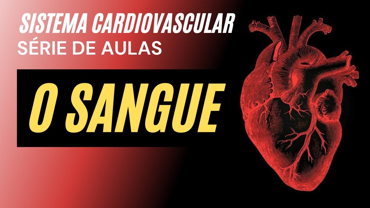 Sistema Cardiovascular: O SANGUE